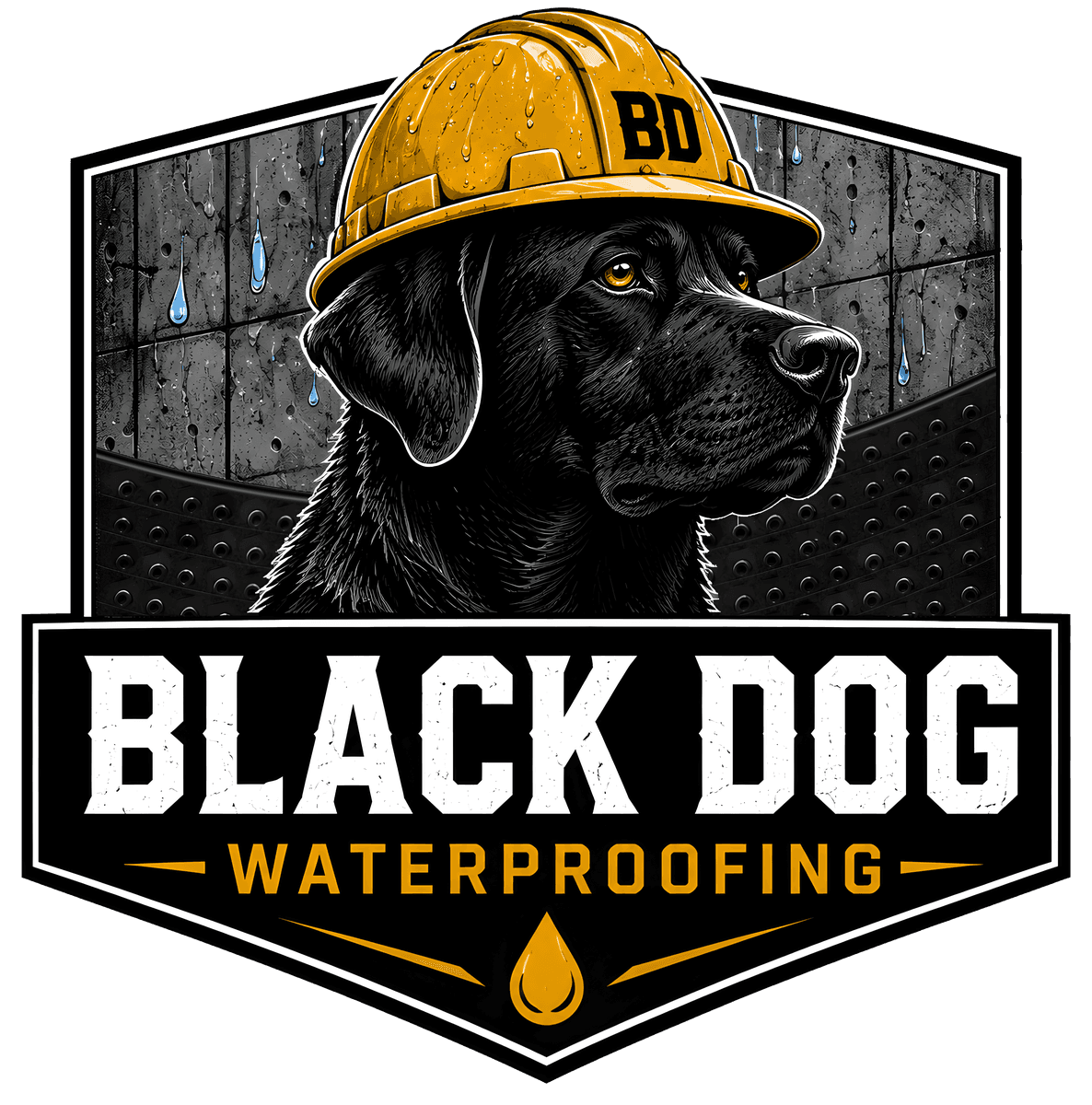 Black Dog Foundation and Waterproofing